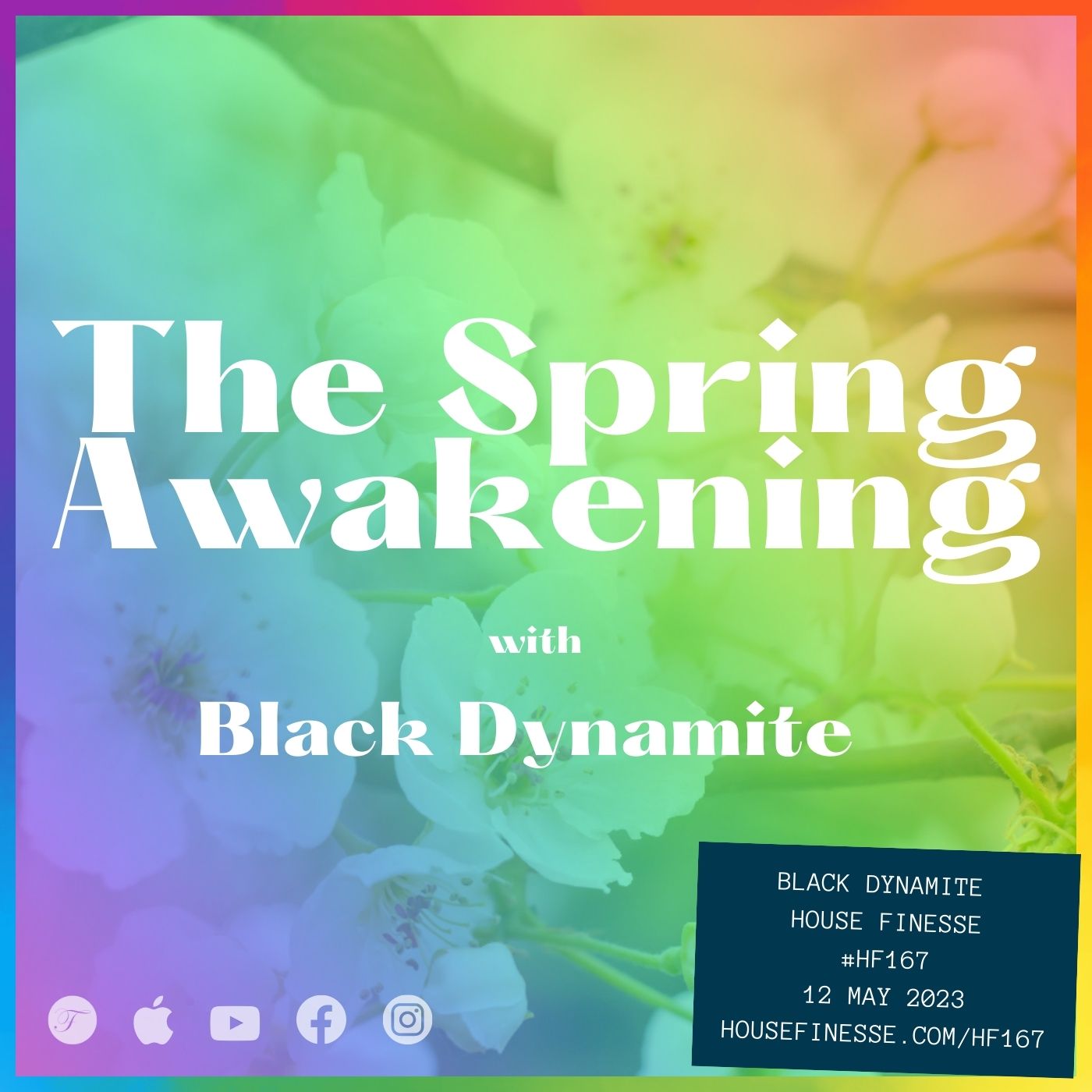 The Spring Awakening with Black Dynamite